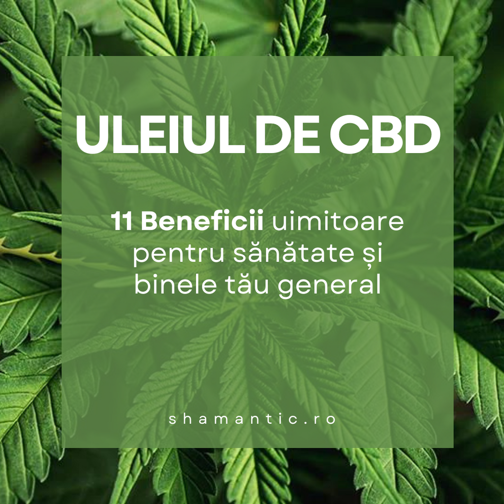 Uleiul de CBD: 11 Beneficii uimitoare pentru sanatate si binele tau general