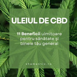 Uleiul de CBD: 11 Beneficii uimitoare pentru sanatate si binele tau general