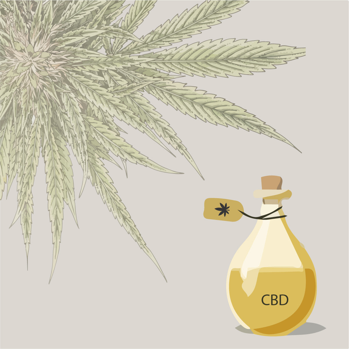 TOTUL DESPRE CBD: O scurtă istorie a cânepei și beneficiile acesteia